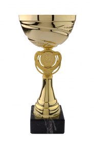 Cupe Sportive CE 12